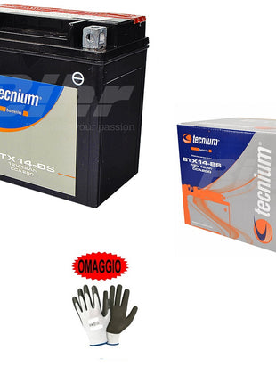 COMPATIBILE CON APRILIA 850 NA Maná 2008 BATTERIA GIA' PRONTA ALL'USO TECNIUM YTX14-BS 12V 12AH BATTERIE 12 AMPERE SPECIFICA PER MOTO SCOOTER 150X87X145