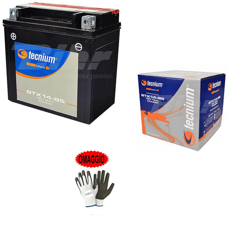 COMPATIBILE CON BUELL 500 Blast 2005 BATTERIA GIA PRONTA ALL USO TECNIUM YTX14-BS 12V 12AH BATTERIE 12 AMPERE SPECIFICA PER MOTO SCOOTER 150X87X145